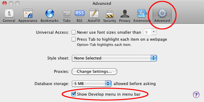 In the Preferences window, select the "Advanced" tab and check the "Show Develop menu in menu bar" checkbox.
